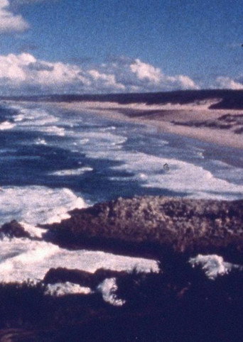 Movie poster for Ocean at Point Lookout (1977)
