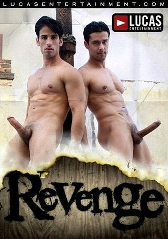 Revenge poster