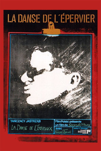 Movie poster for The Dance of the Hawk (1984)