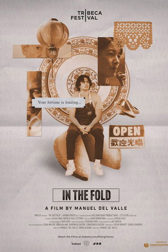 In The Fold poster