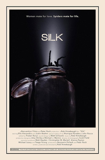 Movie poster for Silk (2014)