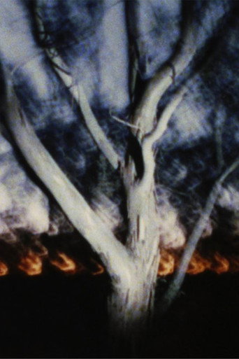Movie poster for The Land at Night (2024)