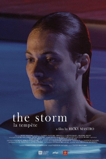 Movie poster for The Storm (2018)