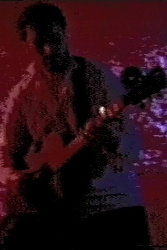 Movie poster for The Woolverstones: Live At Pandora Gallery (2025)