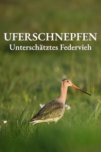 Movie poster for Uferschnepfen - Unterschätztes Federvieh (2024)