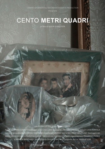 One Hundred Square Meters poster