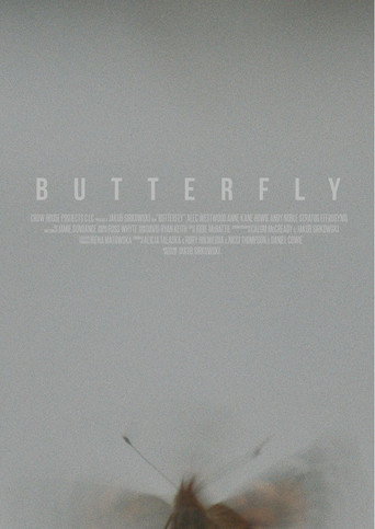 Movie poster for Butterfly (2018)