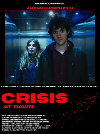 Movie poster for Crisis At Dawn (2025)