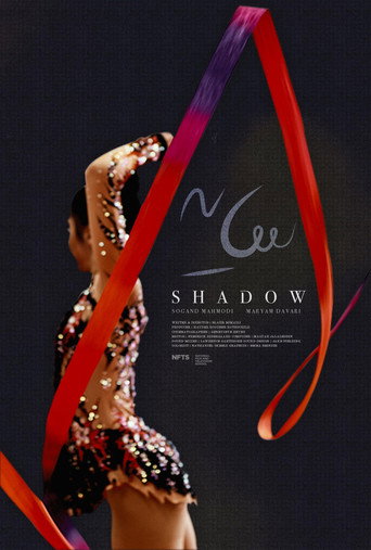 Movie poster for Shadow (2024)