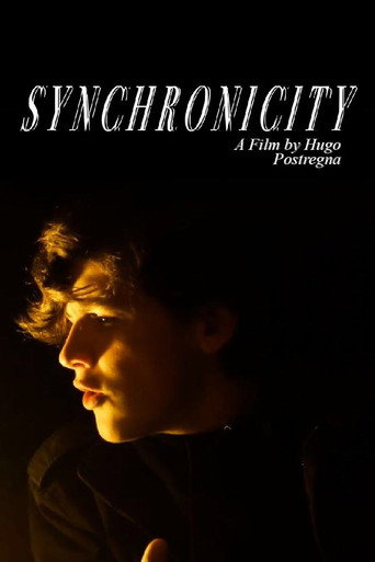 Movie poster for Synchronicity (2020)