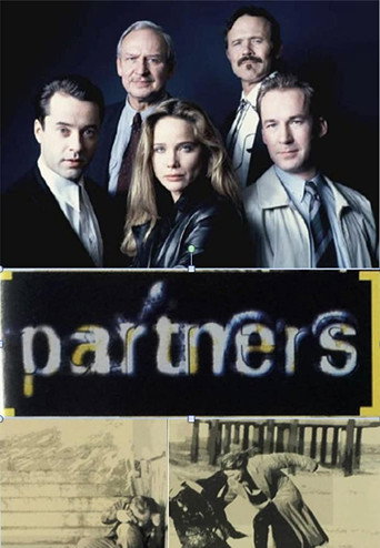 Die Partner poster