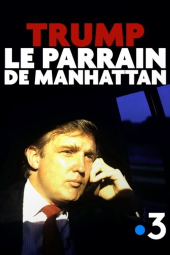 Movie poster for Trump, le parrain de Manhattan (2018)