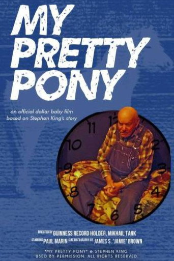 Movie poster for My Pretty Pony (2009)