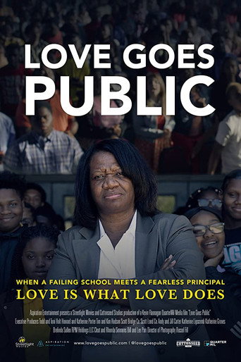 Movie poster for Love Goes Public (2019)