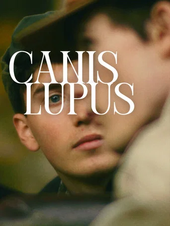 Movie poster for Canis Lupus (2025)