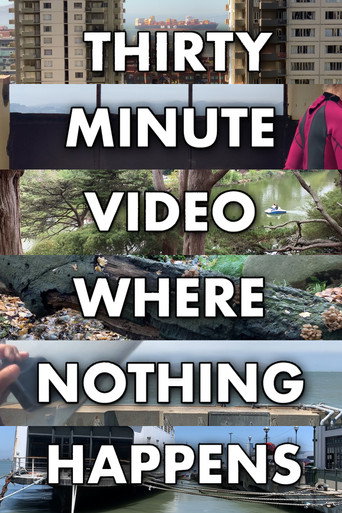 Movie poster for Thirty Minute Video Where Nothing Happens (2023)