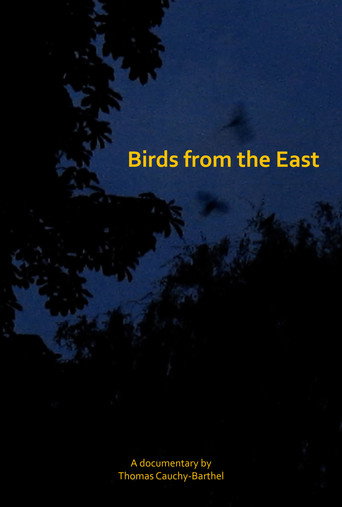 Movie poster for Les oiseaux de l'Est (2025)