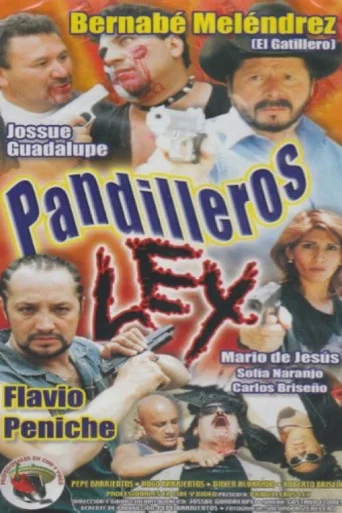 Movie poster for Pandilleros Ley (2005)
