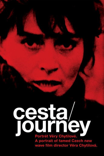 Movie poster for Journey: Portrait of Věra Chytilová (2004)