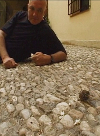 Scully in Malaga poster