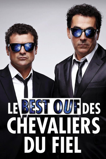 Movie poster for Le Best Ouf des Chevaliers du Fiel (2012)