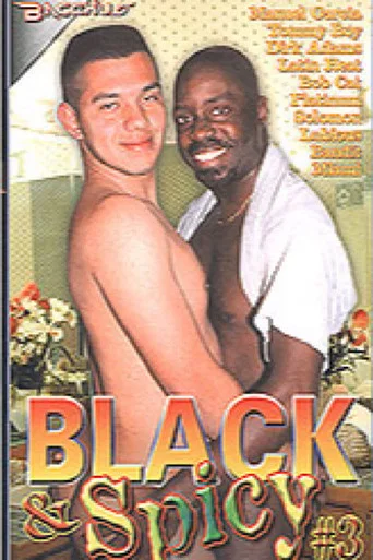 Movie poster for Black & Spicy 3 (2004)
