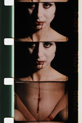 Movie poster for Double Labyrinthe (1976)
