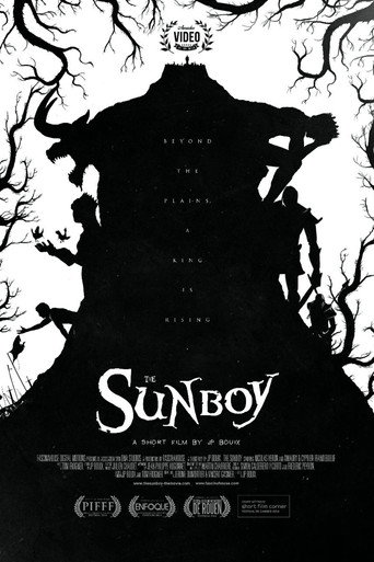 Movie poster for The Sunboy (2014)