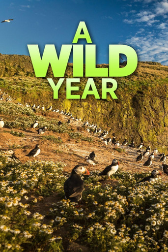 A Wild Year poster