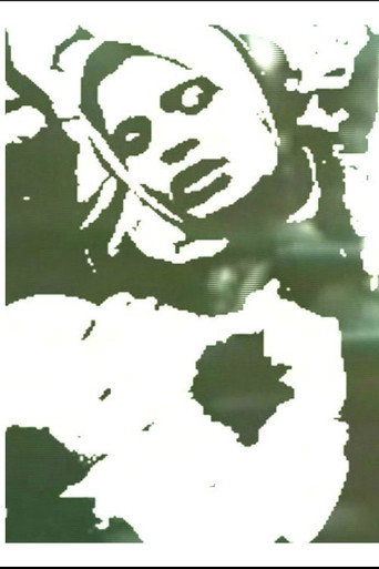 Movie poster for The PSA Project (2005)