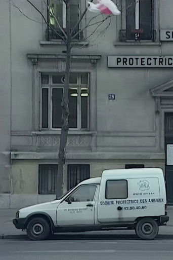 We Are All Cockroaches poster