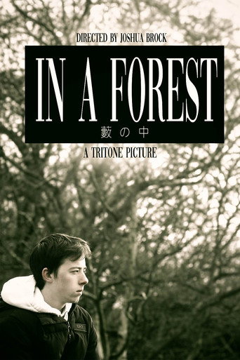 Movie poster for In a Forest (2024)