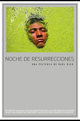 Movie poster for Night of Resurrections (2015)
