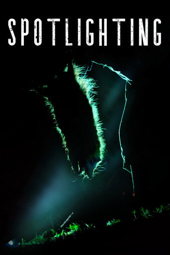 Movie poster for Spotlighting