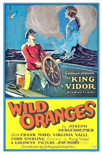 Movie poster for Wild Oranges (1924)