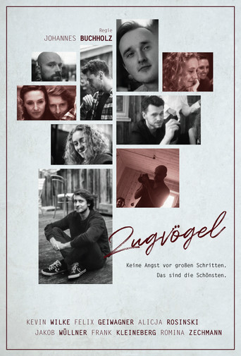 Zugvögel poster
