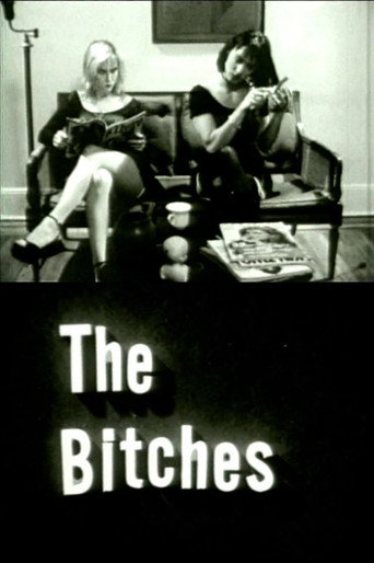 Movie poster for The Bitches (1992)
