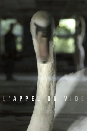 Movie poster for L'appel Du Vide (2017)