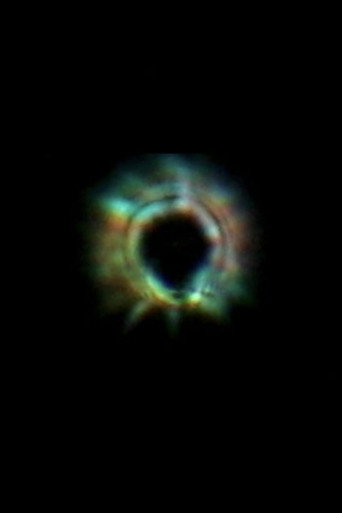 Movie poster for Seeing the Scintillation of Sirius (2023)