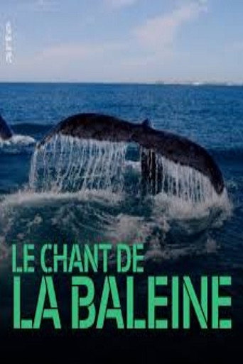 Movie poster for Whale Patrol (2009)