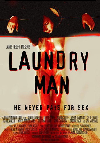Movie poster for Laundry Man (2016)