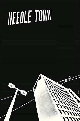 Movie poster for Needle Town (2015)