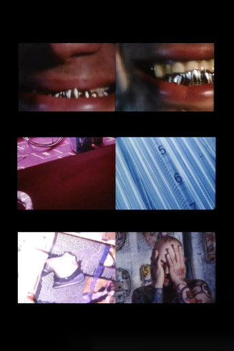 Movie poster for Terra Vermin (1998)