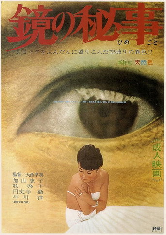 Movie poster for The Secret of the Mirror (1966)