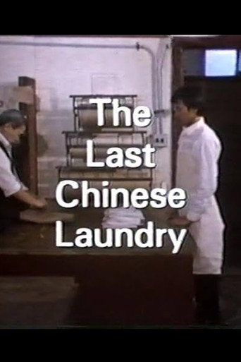 Movie poster for The Last Chinese Laundry (1987)