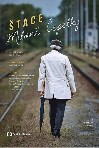 Movie poster for Miloš Čepelka's Steps (2021)