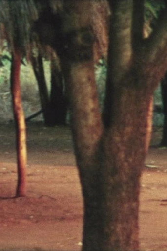 Movie poster for Makonde Basketry