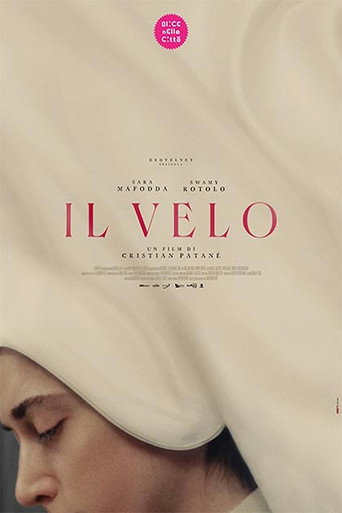 Movie poster for The Veil (2025)