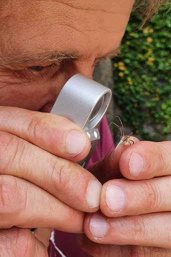 Geheimnisvolle Parktiere - Wildes Leben in der Stadt poster