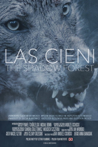 Movie poster for Las cieni (2014)